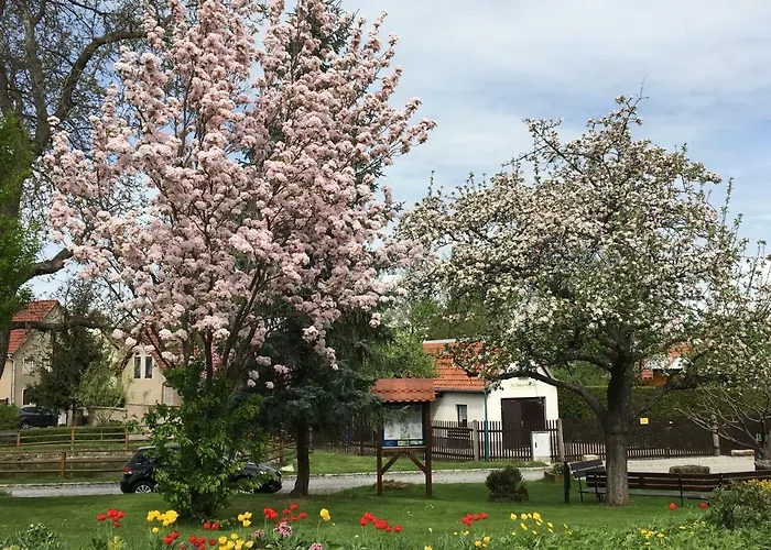 Sonja Müller Konukevi